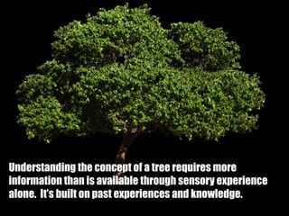 Understanding the concept of a tree requires more
information than is available through sensory experience
alone.  It’s built on past experiences and knowledge.
 