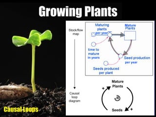 Growing Plants
Causal Loops
 