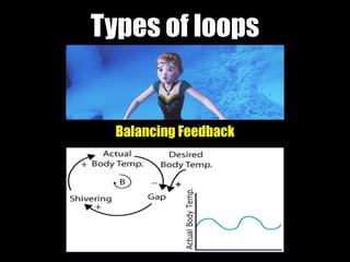 Types of loops
Balancing Feedback
 