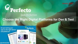 Choose the Right Digital Platforms for Dev & Test
January, 2016
 