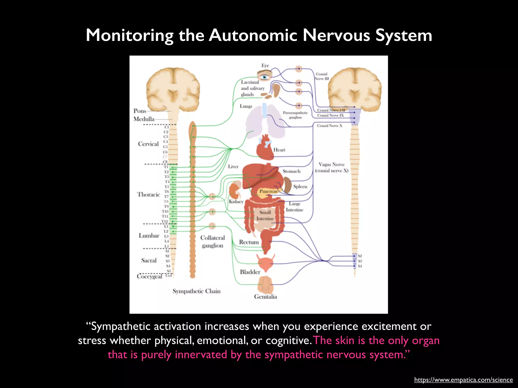 https://www.empatica.com/science
Monitoring the Autonomic Nervous System
“Sympathetic activation increases when you experience excitement or
stress whether physical, emotional, or cognitive.The skin is the only organ
that is purely innervated by the sympathetic nervous system.”
https://www.empatica.com/science
 