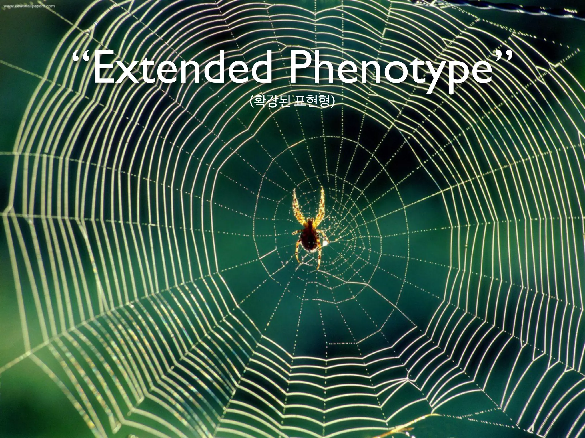 “Extended Phenotype”(확장된 표현형)
 