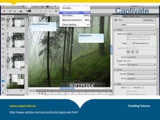 Captivate
http://www.adobe.com/au/products/captivate.html
 