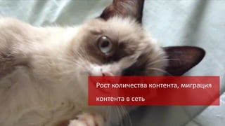 Рост количества контента, миграция
контента в сеть

 