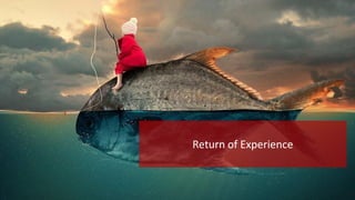 Return of Experience

 