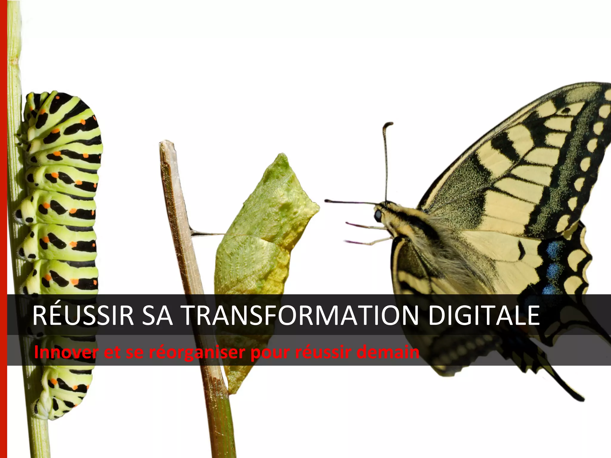 RÉUSSIR	
  SA	
  TRANSFORMATION	
  DIGITALE	
  
Innover	
  et	
  se	
  réorganiser	
  pour	
  réussir	
  demain	
  
 