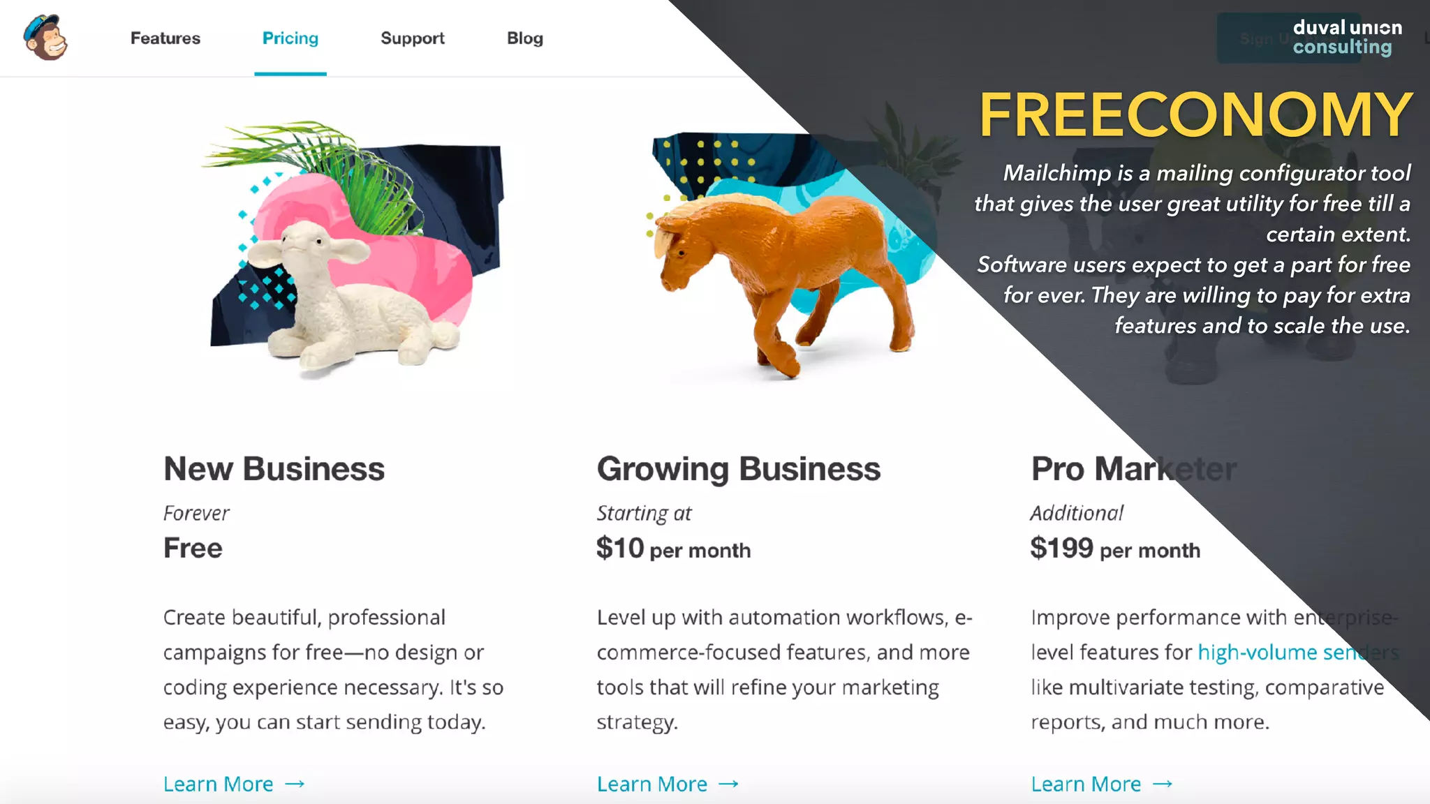 FREECONOMY
Mailchimp is a mailing conﬁgurator tool
that gives the user great utility for free till a
certain extent.
Software users expect to get a part for free
for ever. They are willing to pay for extra
features and to scale the use.
 