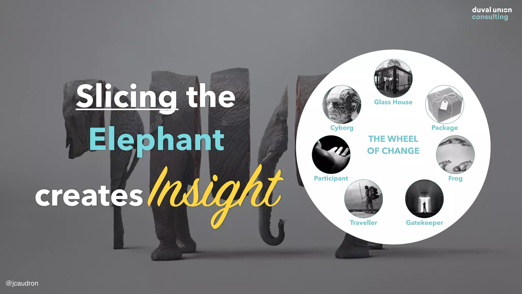 Slicing the
Elephant
creates Insight
@jcaudron
Glass House
Package
Frog
GatekeeperTraveller
Participant
Cyborg
THE WHEEL
OF CHANGE
 