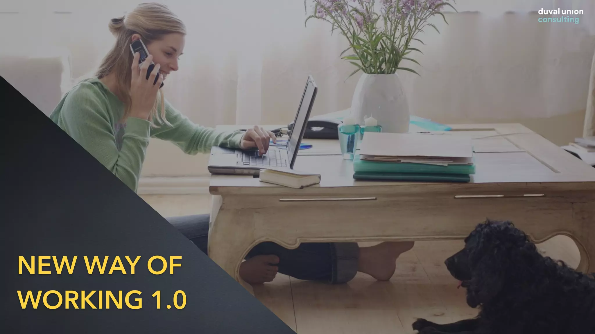 @jcaudron
NEW WAY OF
WORKING 1.0
 