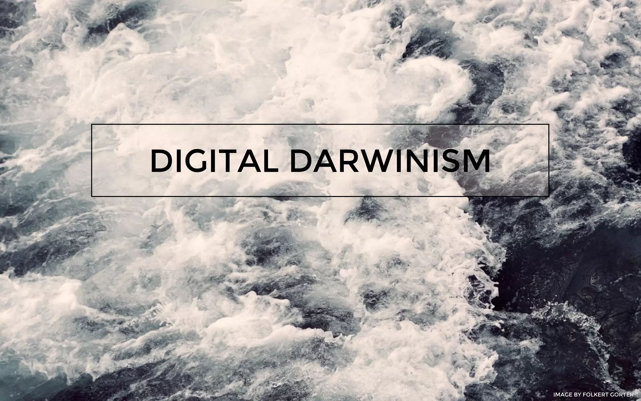 DIGITAL DARWINISM
IMAGE BY FOLKERT GORTER
 