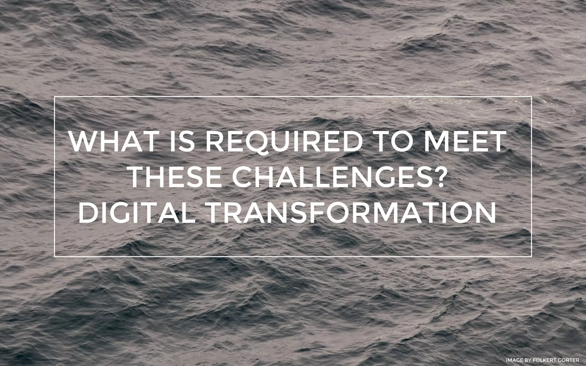 WHAT IS REQUIRED TO MEET
THESE CHALLENGES?
DIGITAL TRANSFORMATION
IMAGE BY FOLKERT GORTER
 