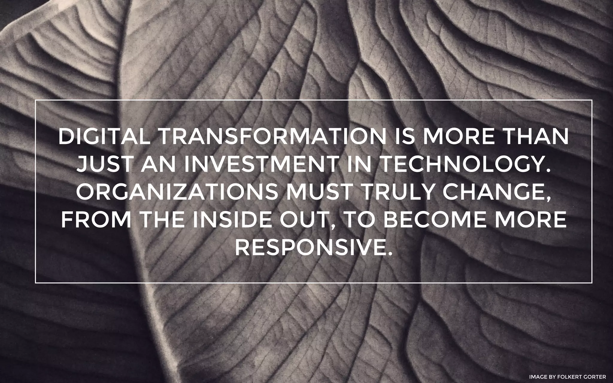 DIGITAL TRANSFORMATION IS MORE THAN
JUST AN INVESTMENT IN TECHNOLOGY.
ORGANIZATIONS MUST TRULY CHANGE,
FROM THE INSIDE OUT, TO BECOME MORE
RESPONSIVE.
IMAGE BY FOLKERT GORTER
 