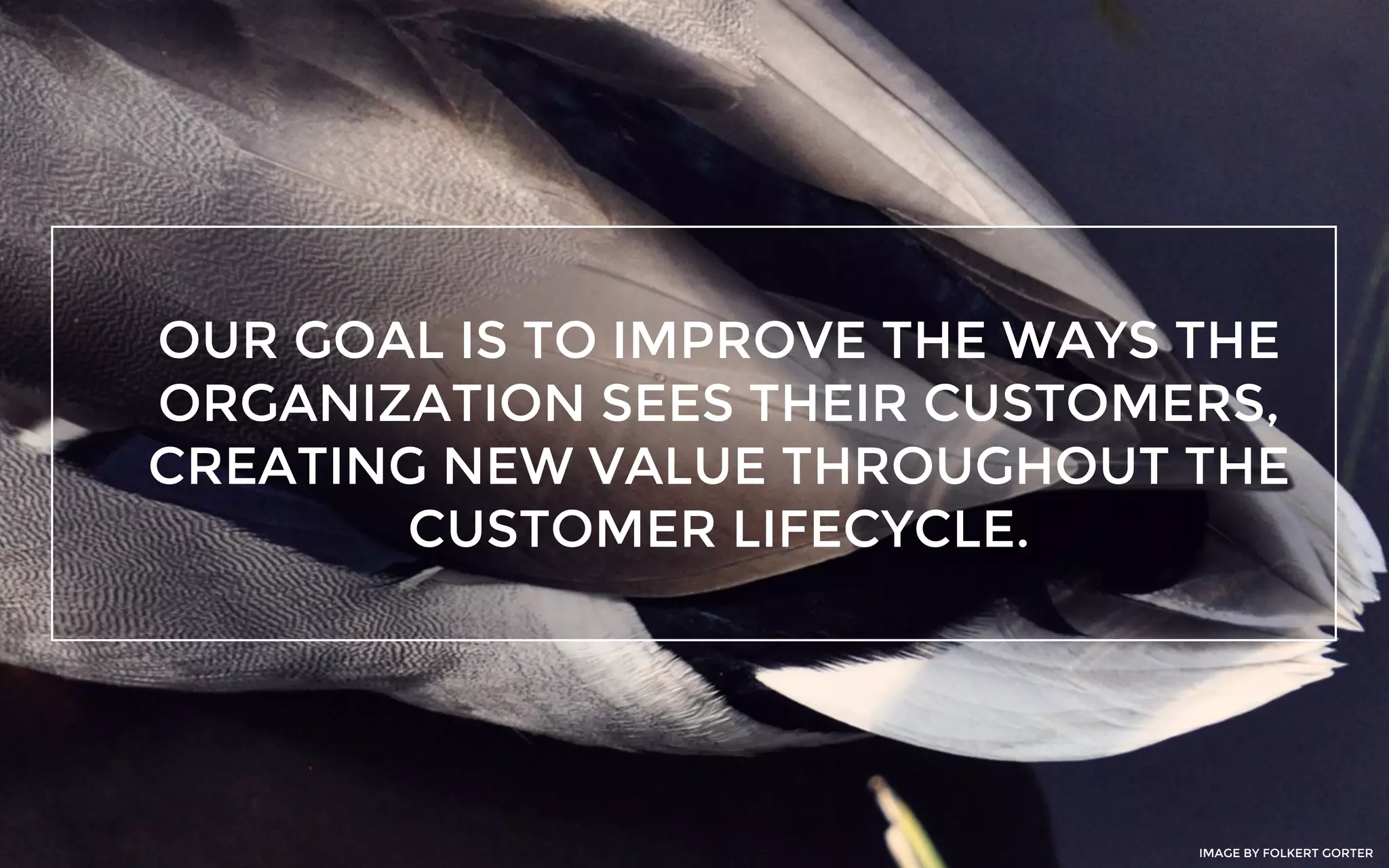 OUR GOAL IS TO IMPROVE THE WAYS THE
ORGANIZATION SEES THEIR CUSTOMERS,
CREATING NEW VALUE THROUGHOUT THE
CUSTOMER LIFECYCLE.
IMAGE BY FOLKERT GORTER
 