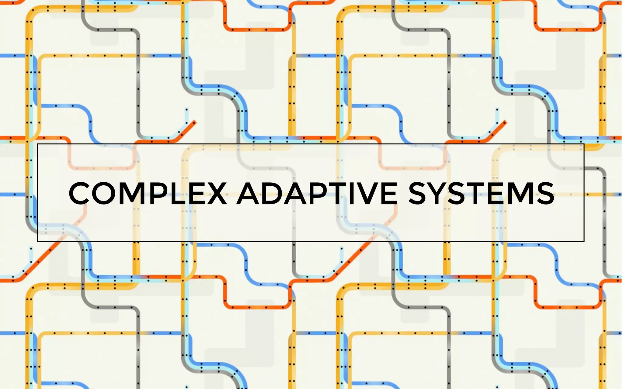 COMPLEX ADAPTIVE SYSTEMS
 