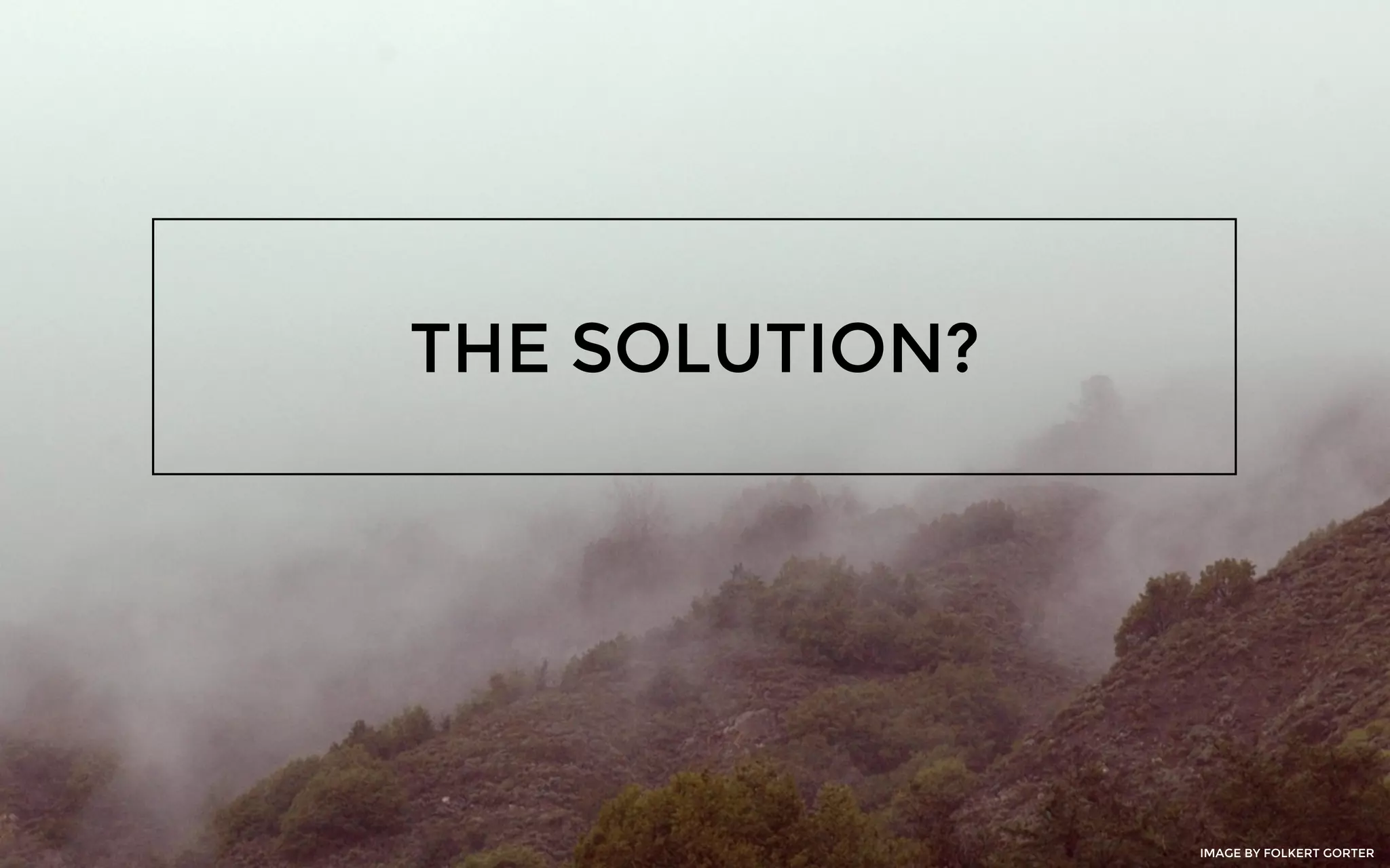 THE SOLUTION?
IMAGE BY FOLKERT GORTER
 
