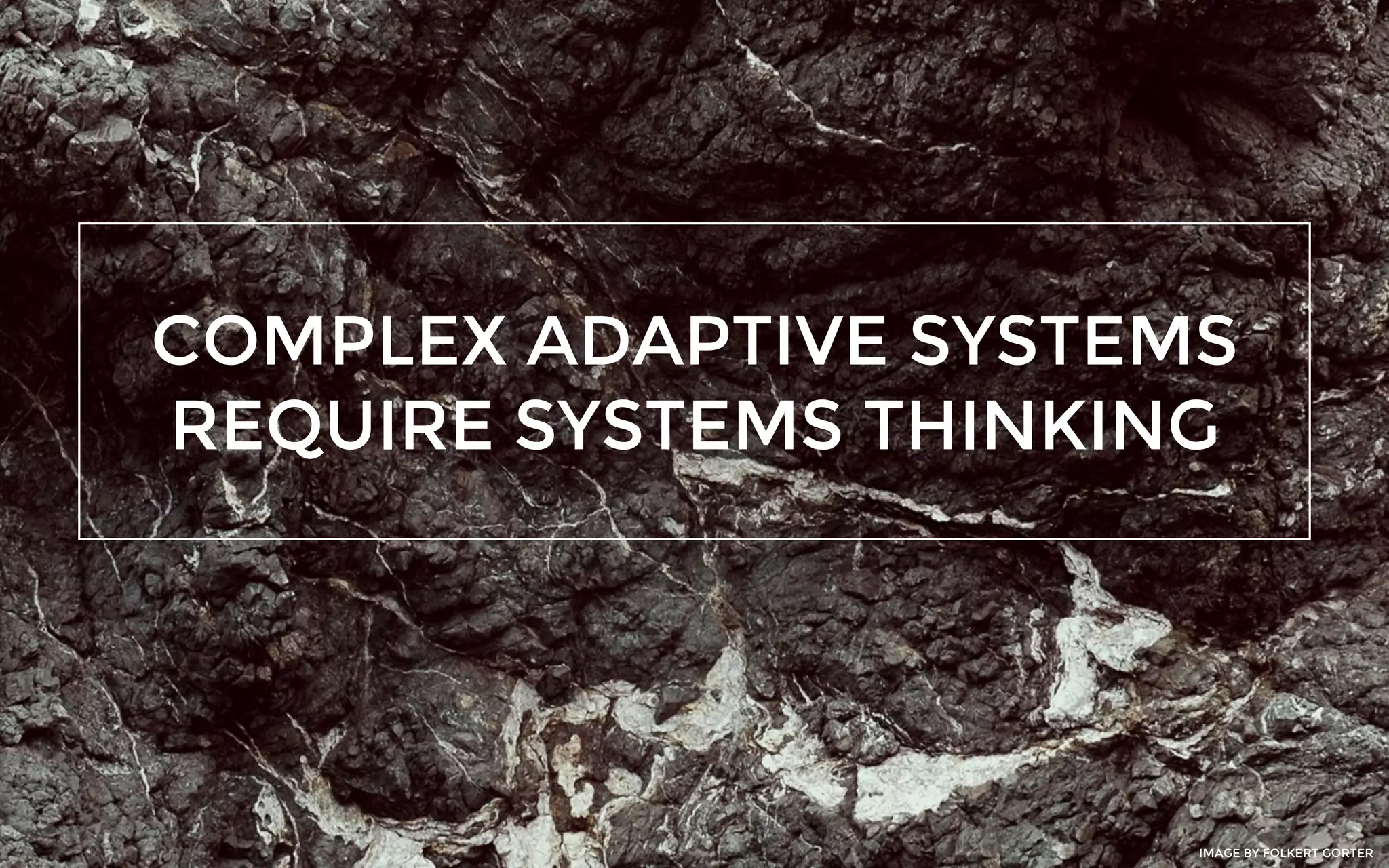 COMPLEX ADAPTIVE SYSTEMS
REQUIRE SYSTEMS THINKING
IMAGE BY FOLKERT GORTER
 