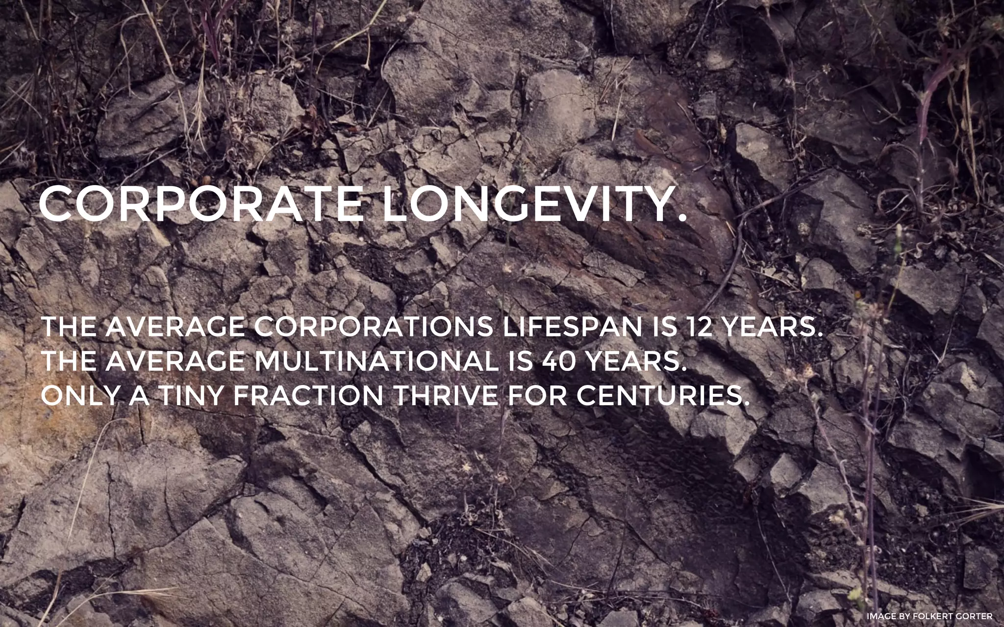 CORPORATE LONGEVITY.
THE AVERAGE CORPORATIONS LIFESPAN IS 12 YEARS.
THE AVERAGE MULTINATIONAL IS 40 YEARS.
ONLY A TINY FRACTION THRIVE FOR CENTURIES.
IMAGE BY FOLKERT GORTER
 