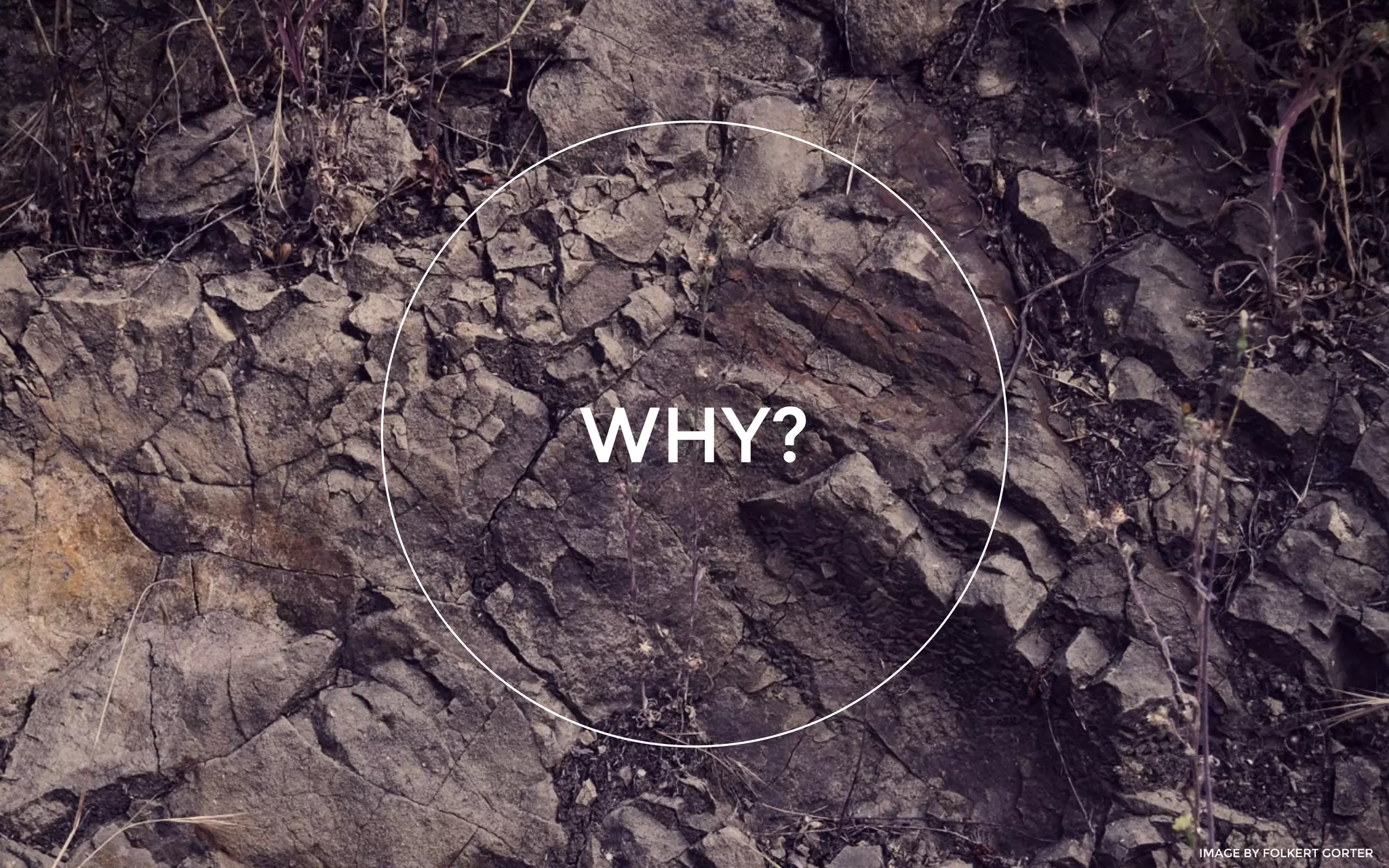 WHY?
IMAGE BY FOLKERT GORTER
 