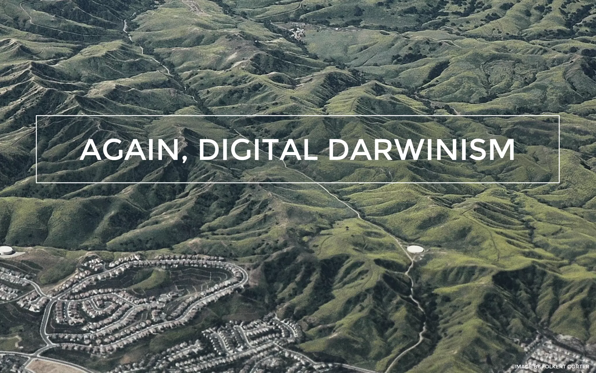 AGAIN, DIGITAL DARWINISM
IMAGE BY FOLKERT GORTER
 