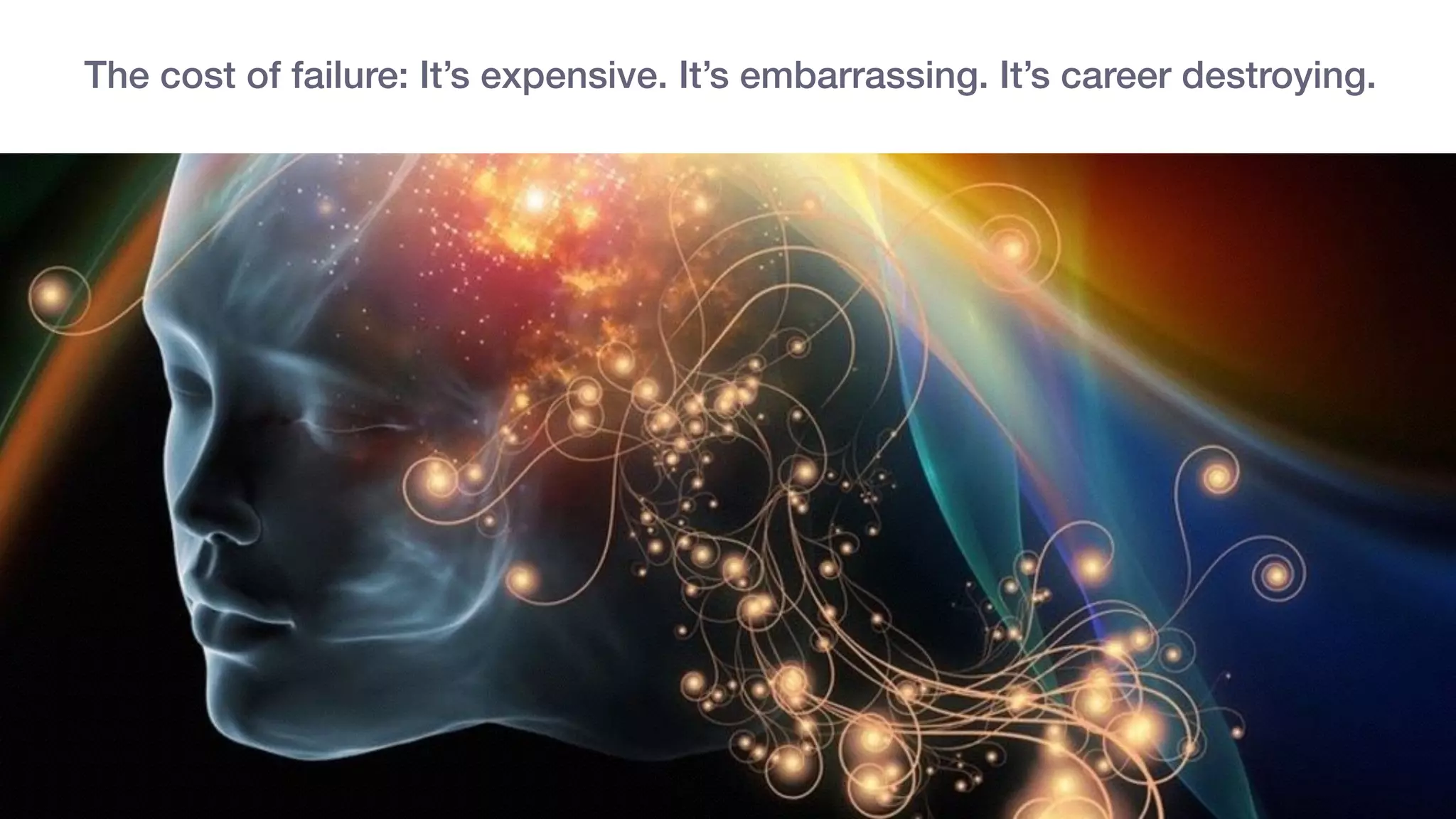 The cost of failure: It’s expensive. It’s embarrassing. It’s career destroying.
 