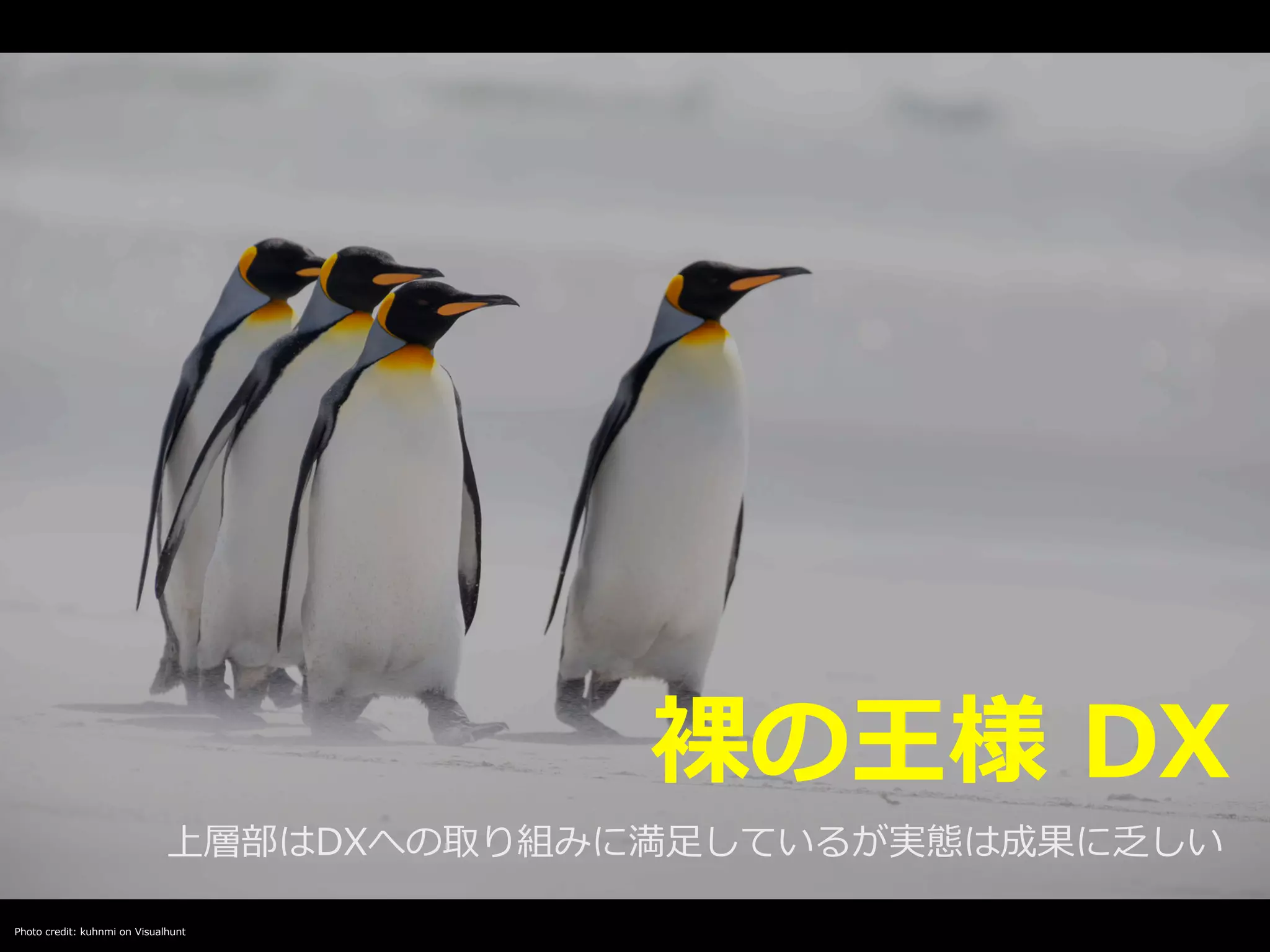 Photo credit: kuhnmi on Visualhunt
裸の王様 DX
上層部はDXへの取り組みに満⾜しているが実態は成果に乏しい
 