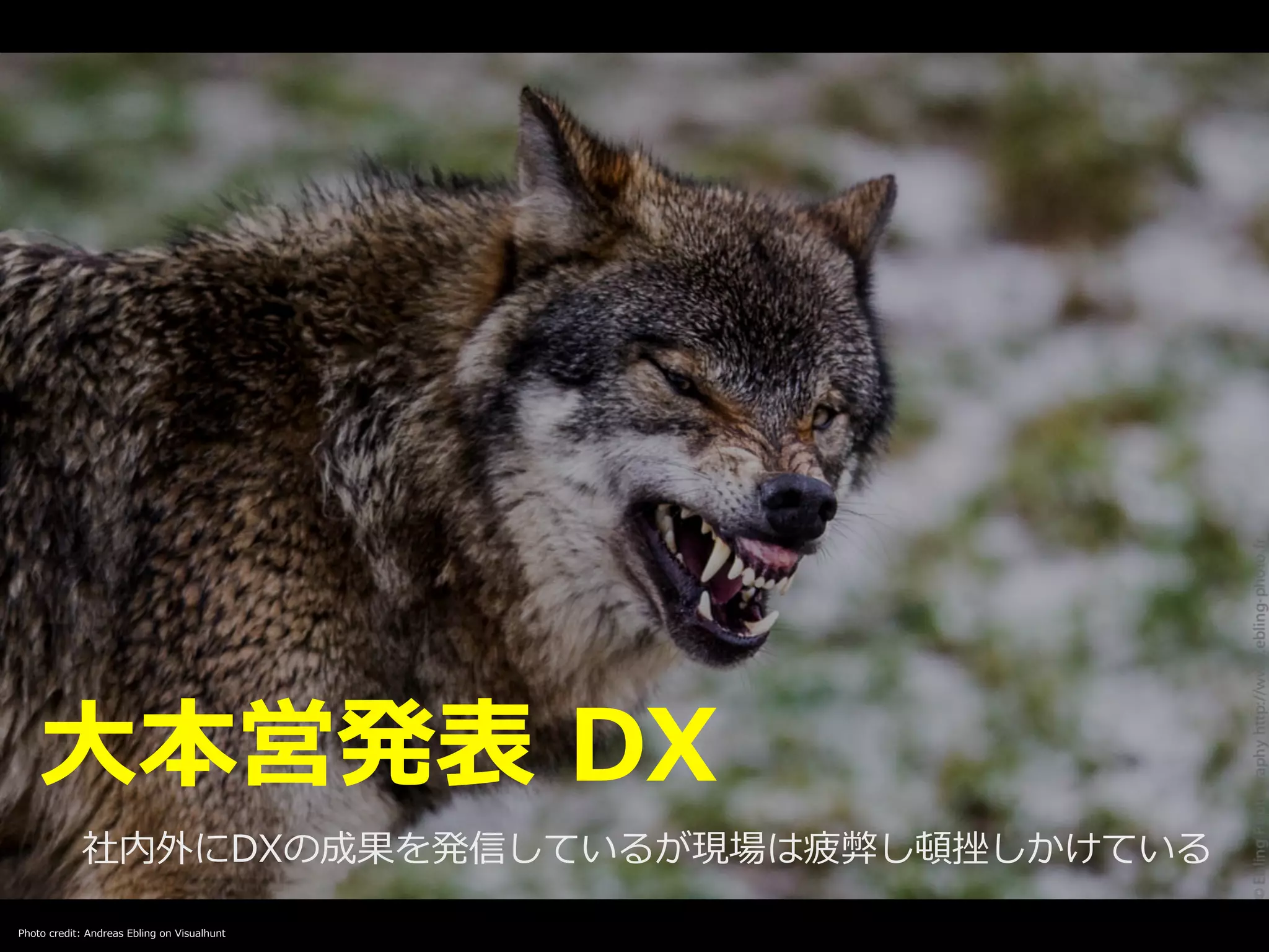 Photo credit: Andreas Ebling on Visualhunt
⼤本営発表 DX
社内外にDXの成果を発信しているが現場は疲弊し頓挫しかけている
 