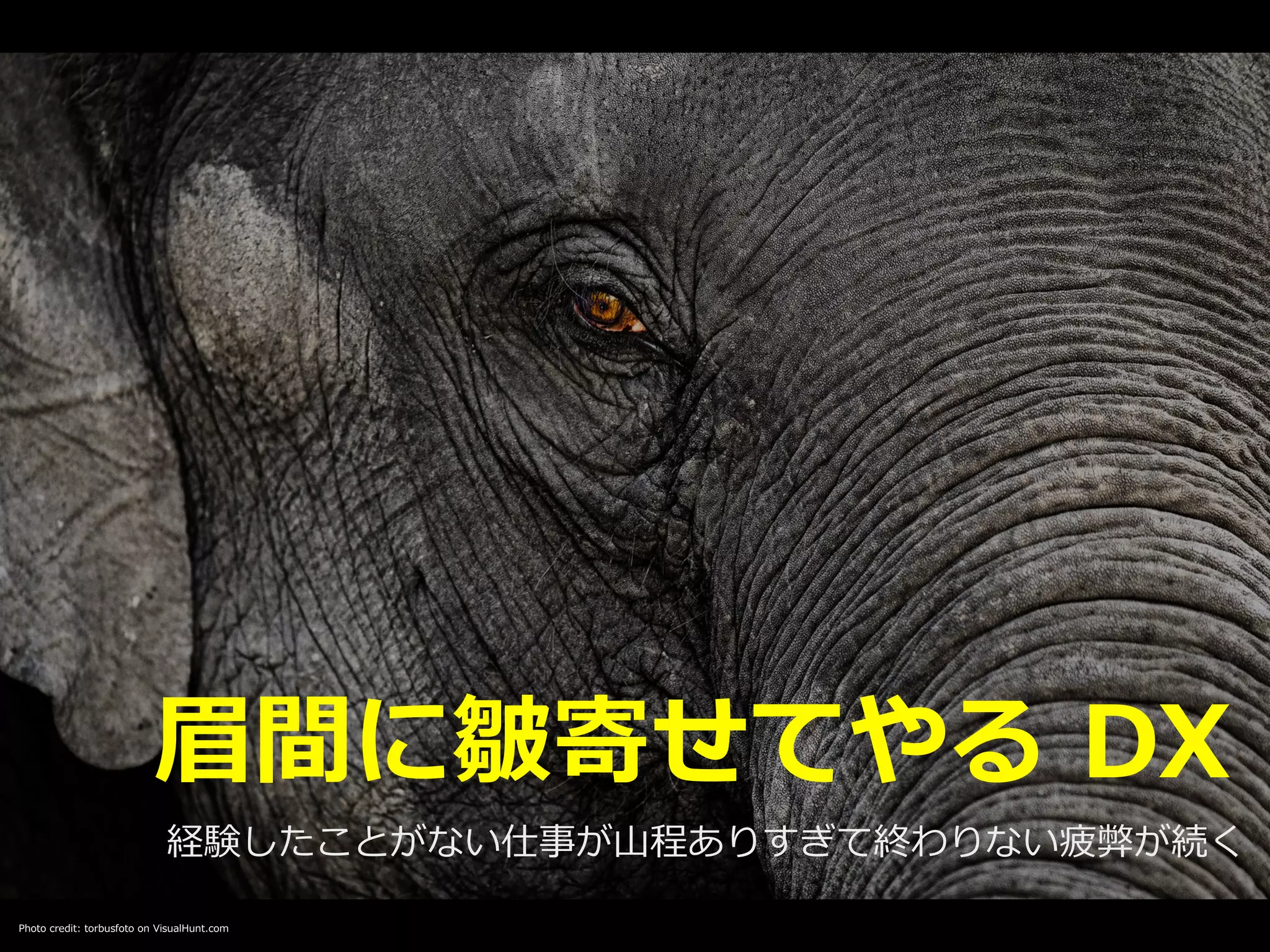 Photo credit: torbusfoto on VisualHunt.com
眉間に皺寄せてやる DX
経験したことがない仕事が⼭程ありすぎて終わりない疲弊が続く
 