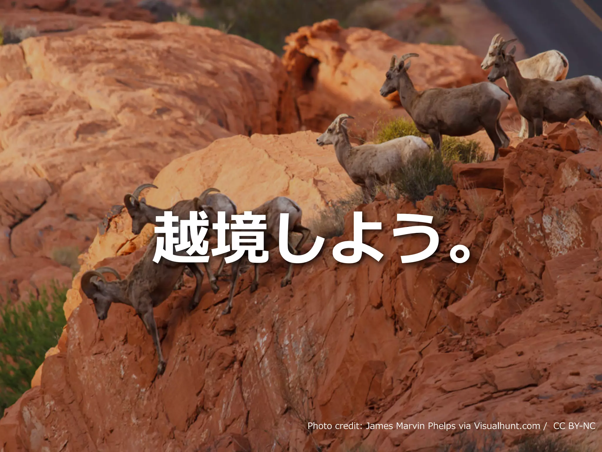Toshihiro Ichitani All Rights Reserved.
越境しよう。
Photo credit: James Marvin Phelps via Visualhunt.com / CC BY-NC
 