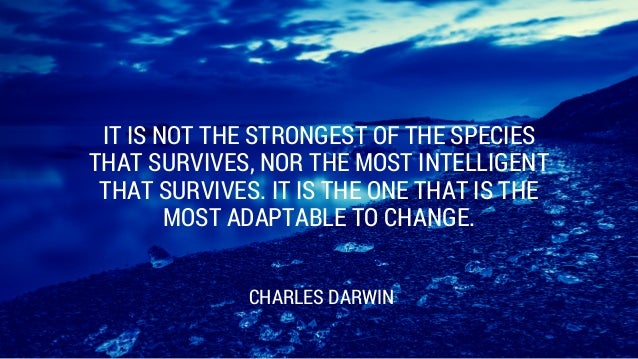 famous quotes k kim Quotes Lead To Transformation Inspire Change & 11 Digital famous quotes k kim Quotes Lead To Transformation Inspire Change & 11 Digital