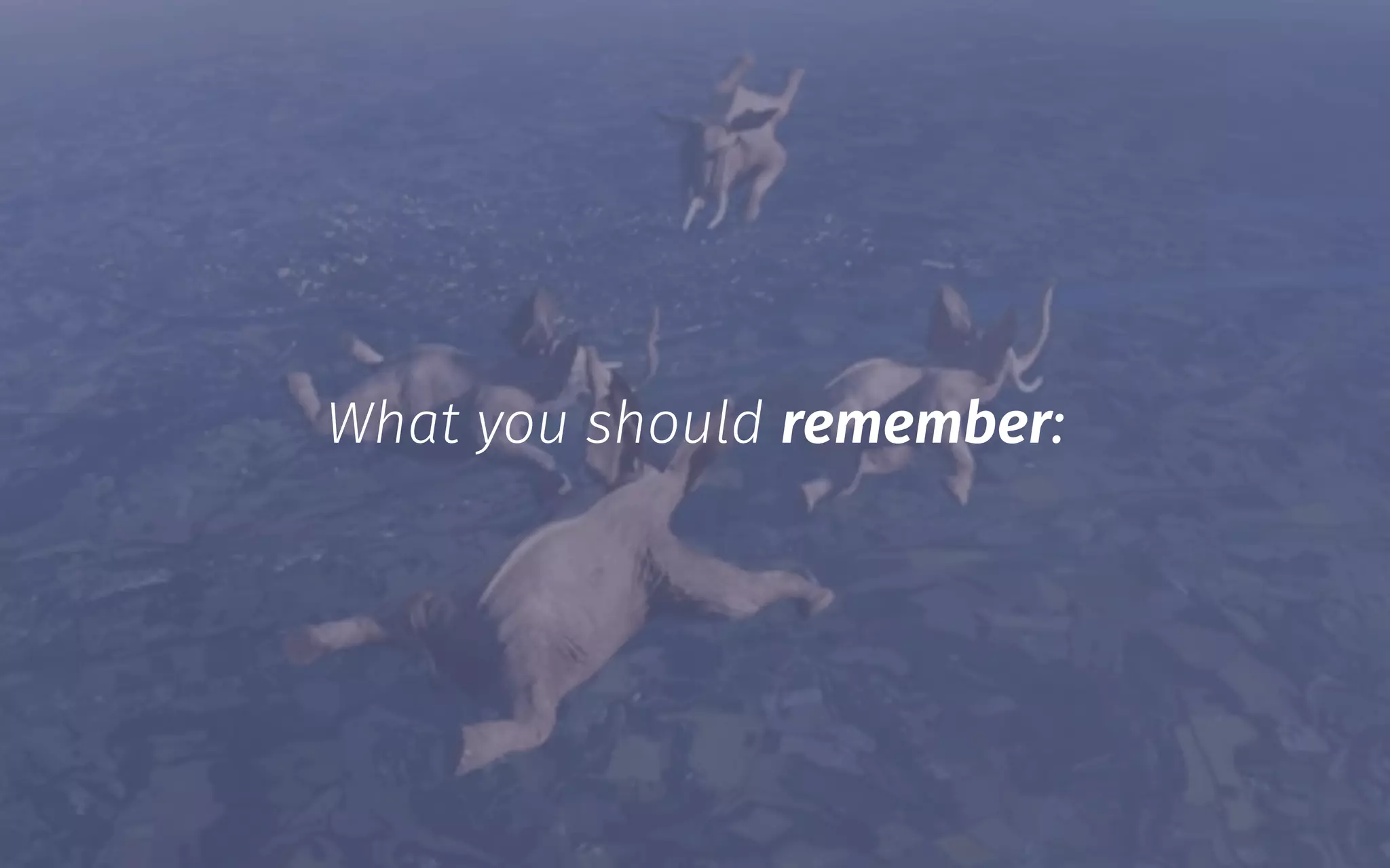 What you should remember:
 