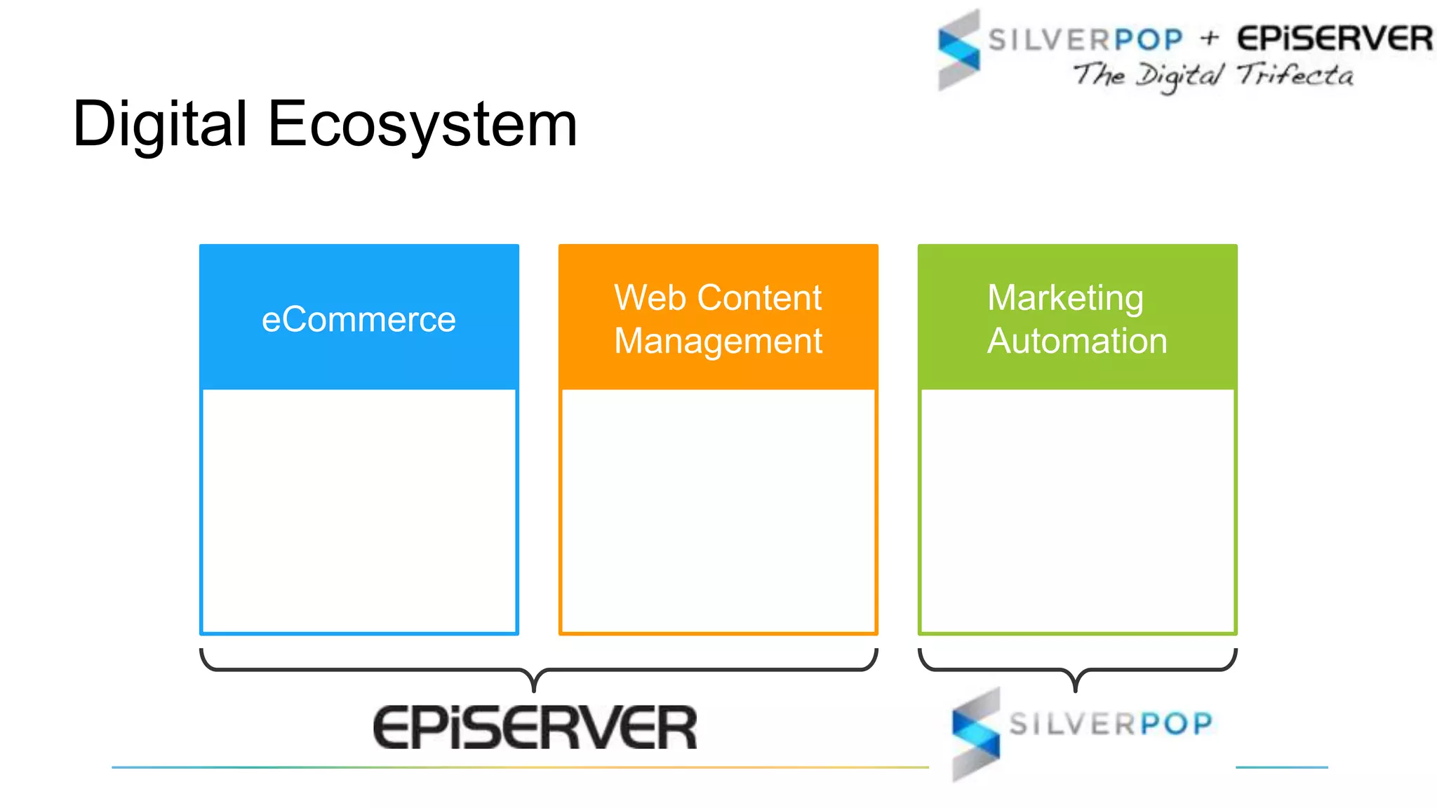 Marketing
Automation
Web Content
Management
eCommerce
Digital Ecosystem
 