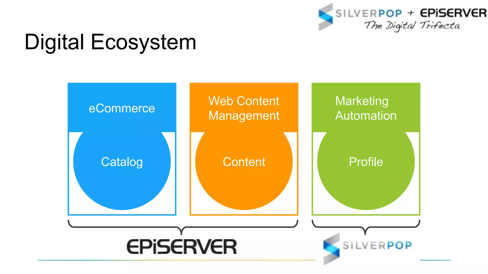 Profile
Digital Ecosystem
ContentCatalog
Marketing
Automation
Web Content
Management
eCommerce
 