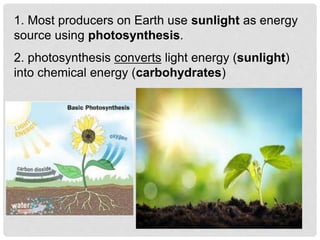 1. Most producers on Earth use sunlight as energy
source using photosynthesis.
2. photosynthesis converts light energy (sunlight)
into chemical energy (carbohydrates)
 