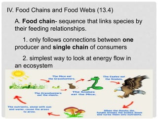 IV. Food Chains and Food Webs (13.4)
A. Food chain- sequence that links species by
their feeding relationships.
1. only follows connections between one
producer and single chain of consumers
2. simplest way to look at energy flow in
an ecosystem
 