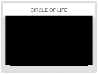 CIRCLE OF LIFE
 