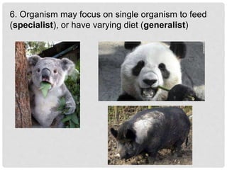 6. Organism may focus on single organism to feed
(specialist), or have varying diet (generalist)
 