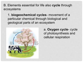 B. Elements essential for life also cycle through
ecosystems
1. biogeochemical cycles- movement of a
particular chemical through biological and
geological parts of an ecosystem
a. Oxygen cycle- cycle
of photosynthesis and
cellular respiration
 