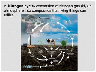 c. Nitrogen cycle- conversion of nitrogen gas (N2) in
atmosphere into compounds that living things can
utilize.
 