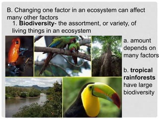 B. Changing one factor in an ecosystem can affect
many other factors
a. amount
depends on
many factors
b. tropical
rainforests
have large
biodiversity
1. Biodiversity- the assortment, or variety, of
living things in an ecosystem
 