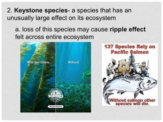 2. Keystone species- a species that has an
unusually large effect on its ecosystem
a. loss of this species may cause ripple effect
felt across entire ecosystem
 