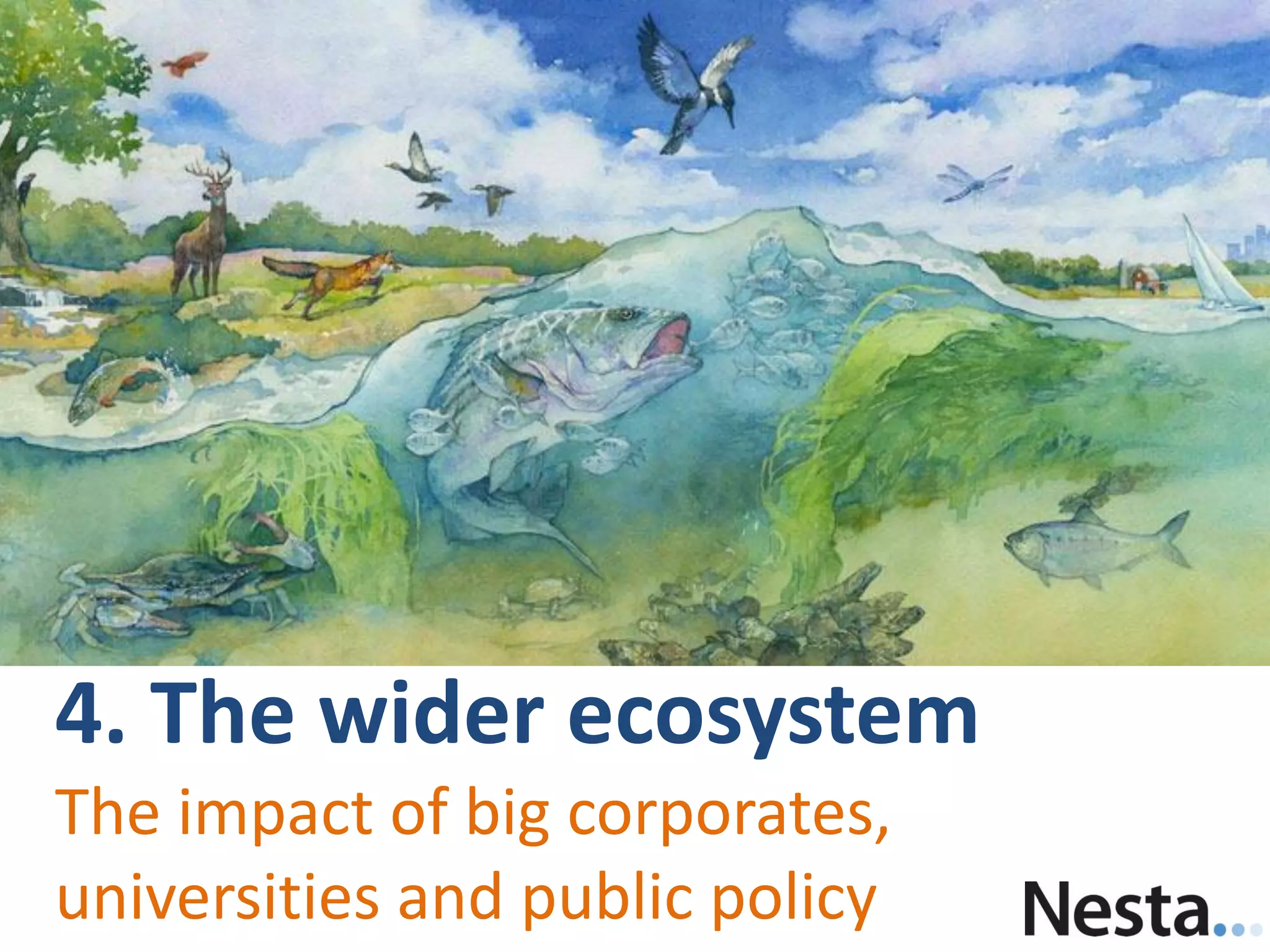 4. The wider ecosystem
The impact of big corporates,
universities and public policy
 