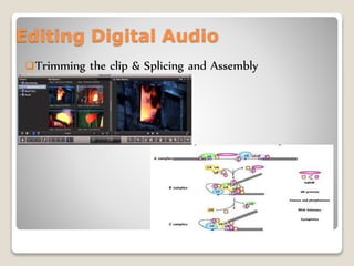 Editing Digital Audio
Trimming the clip & Splicing and Assembly
 