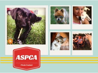 Digital & Visual Storytelling