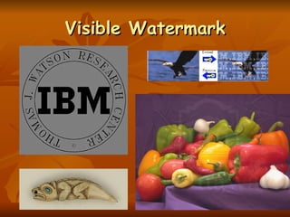 Visible Watermark 