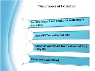 The process of Extraction




                            27
 