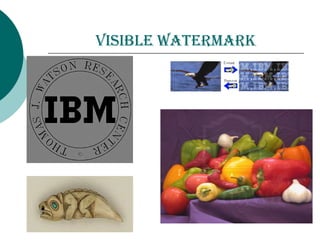 Visible watermark
 