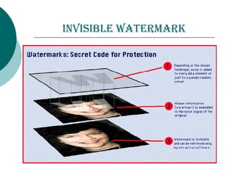 inVisible watermark
 