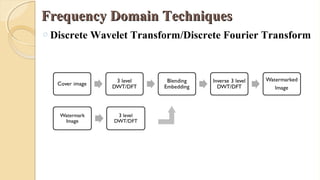 Frequency Domain TechniquesFrequency Domain Techniques
o Discrete Wavelet Transform/Discrete Fourier Transform
 