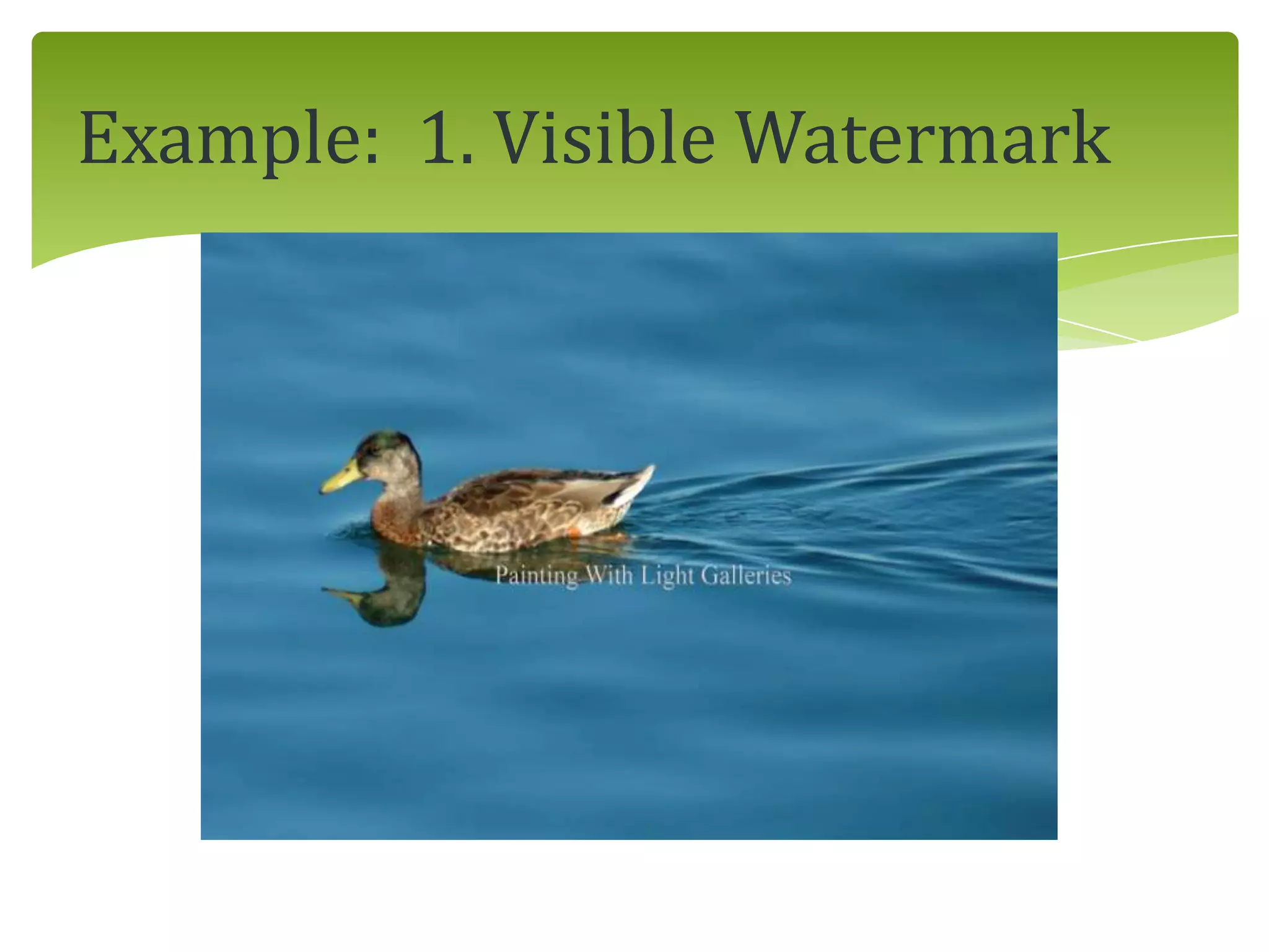 Example: 1. Visible Watermark
 