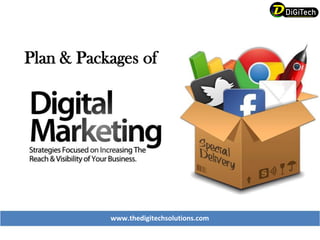Plan & Packages of
www.thedigitechsolutions.com
 